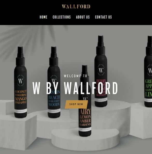 Shopify website design services